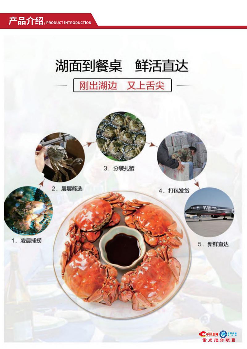 阳澄湖大闸蟹【中经总网优选推介】_13.jpg