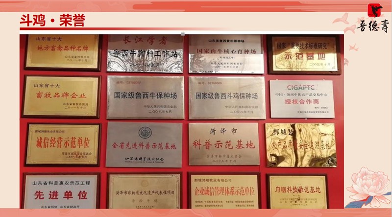 微信图片_2026-09-20_212051_655_副本.jpg