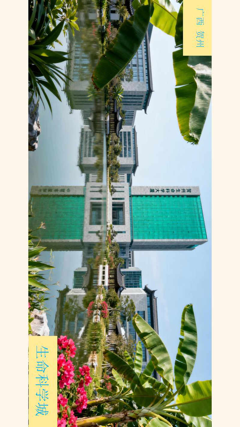 世界长寿市-生命科学城与四宝堂顶层设计基础_91.jpg