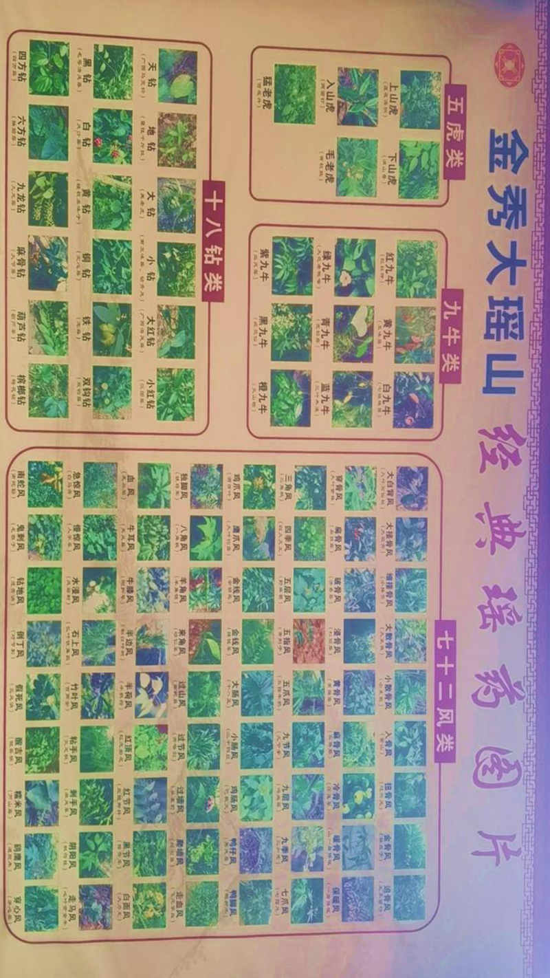 世界长寿市-生命科学城与四宝堂顶层设计基础_107.jpg