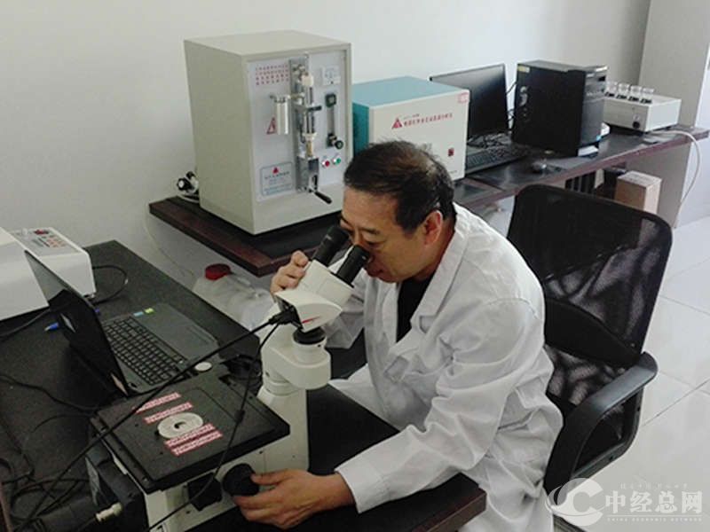 1724338904360038.jpg 6.jpg