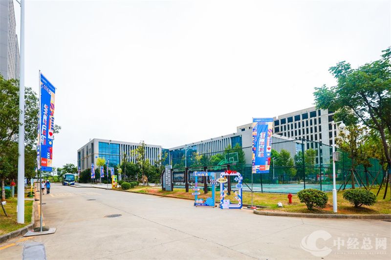 1724991424250893.jpg 1.jpg